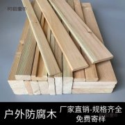 建筑新材料技术培训与支持